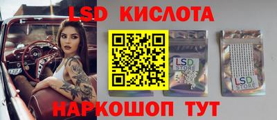 стафф Гай