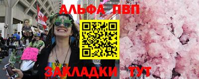 стафф Гай