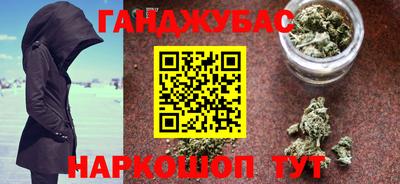 стафф Гай