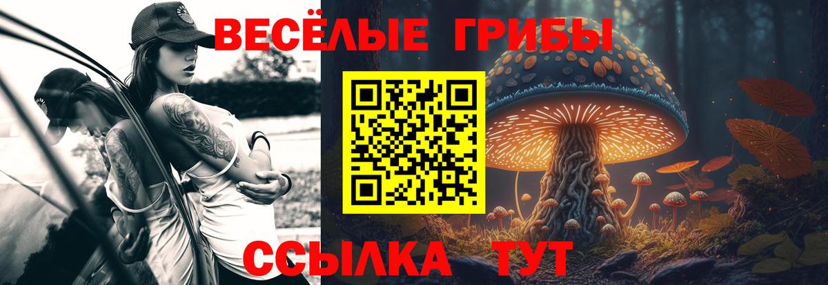 Нижнеудинск  Псилоцибиновые грибы ЛСД  Псилоцибиновые грибы Psilocybe  Вход с VPN 
